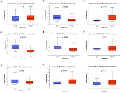 FGF18 Inhibits Clear Cell Renal Cell Carcinoma Proliferation and Invasion via Regulating Epithelial-Mesenchymal Transition